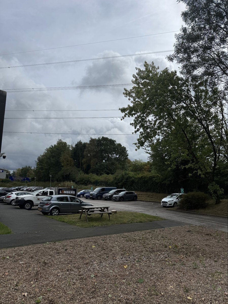 LumbersNW's tweet photo. Assorted tree works carried out last week!

✅ Fully insured
✅ Experienced, reliable &amp; uniformed team
✅ Residential &amp; commercial tree services
✅ Professional advice &amp; workmanship

📍 Covering: Wirral, Liverpool, Chester, Cheshire &amp; North Wales https://t.co/p55PdJYsTU