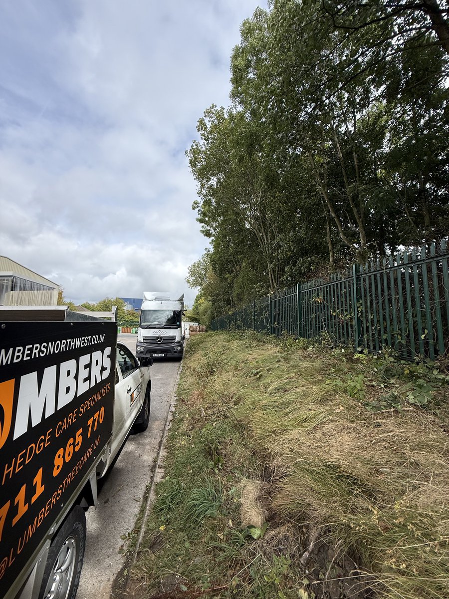 LumbersNW's tweet photo. Assorted tree works carried out last week!

✅ Fully insured
✅ Experienced, reliable &amp; uniformed team
✅ Residential &amp; commercial tree services
✅ Professional advice &amp; workmanship

📍 Covering: Wirral, Liverpool, Chester, Cheshire &amp; North Wales https://t.co/p55PdJYsTU