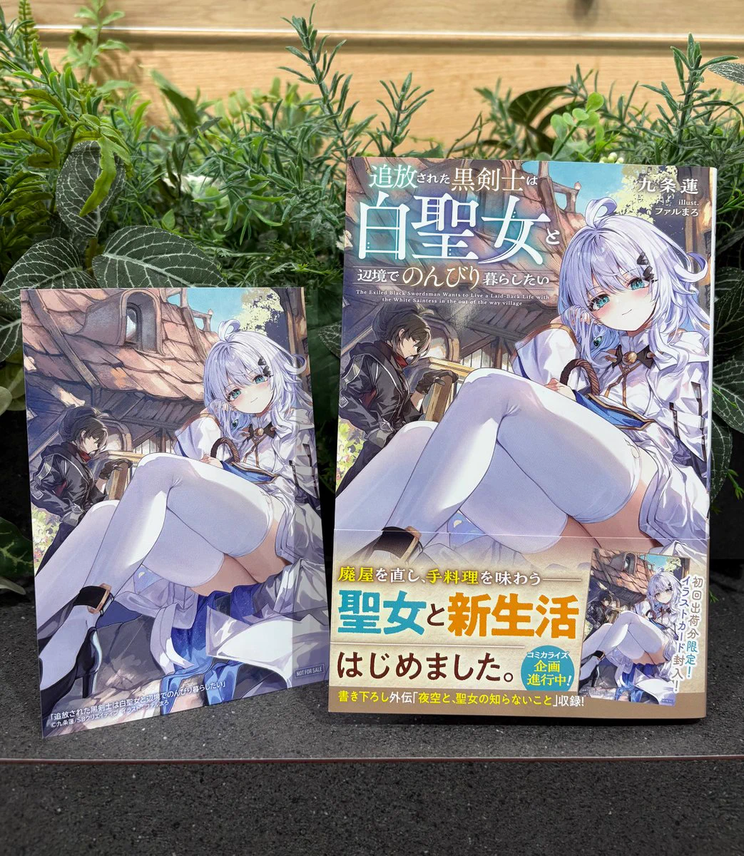 ライトノベル編集O丨カメラとお酒 on X: 