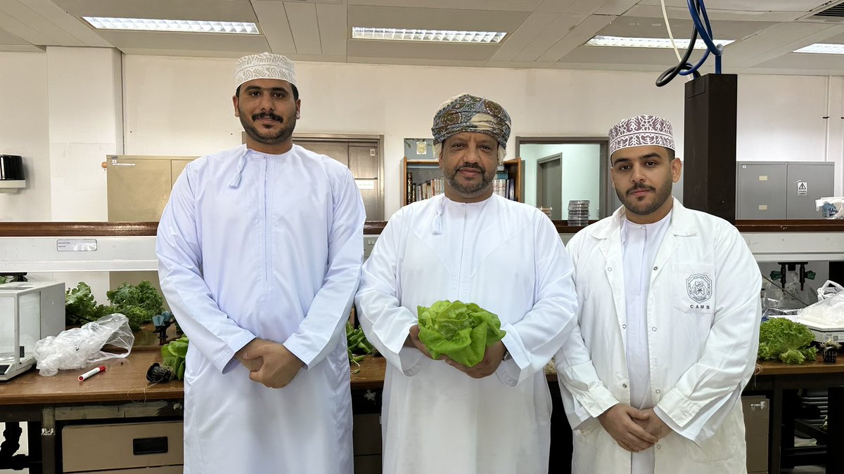 alyahyai's tweet photo. يبحث طلبة #كلية_العلوم_الزراعية_والبحرية  محمد أمبوسعيدي عبدالرحمن الراجحي في مختبر انتاج المحاصيل 🌿 في @squcams عن افضل السبل لتغذية محاصيل من نظام #الزراعة_المائية تحت اشراف د عادل المحذوري والمتخصص في الهندسة الزراعية وتشمل اصناف عالية القيمة من #الكيل و #الريحان و #الخس 🥬 https://t.co/jDgFvS99BI