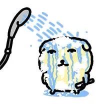 S2__osi's tweet photo. 저기.. 미스트 한바가지를 얼굴에 직빵으로 뿌리는거 맞아요..?💦💦 https://t.co/CXmEsQXb5Y