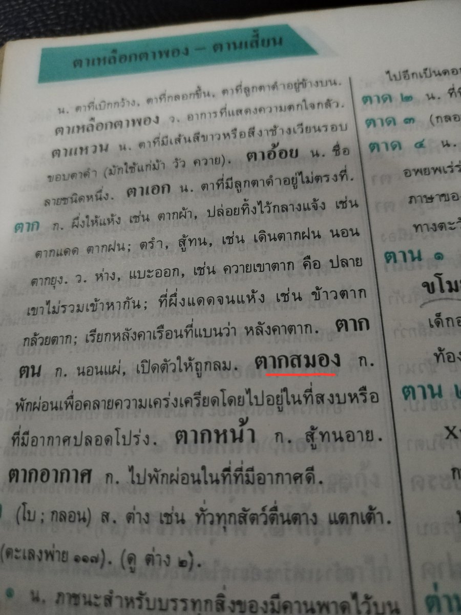readandpaws's tweet photo. ภาษาไทยเท่ห์จะตายยย “ผมอยากมีเวลาไปตากสมองจัง 🧠 ” https://t.co/aRG7yu1zmN