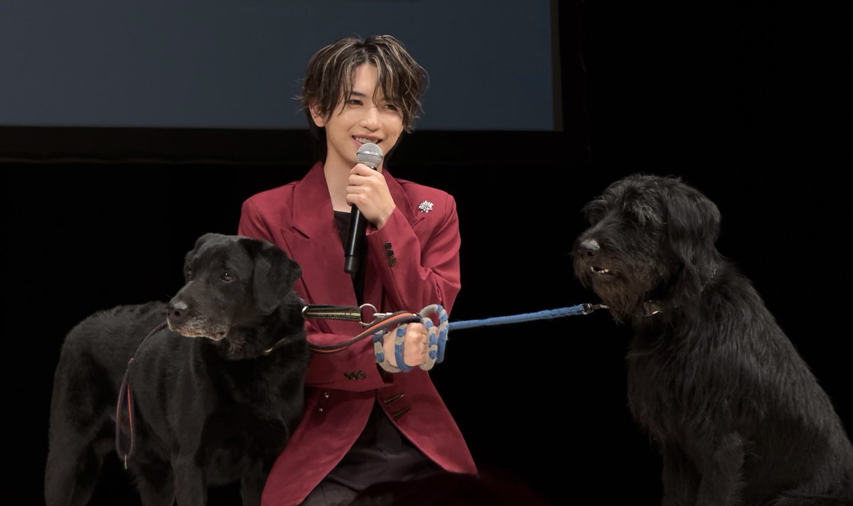 nico_camera2's tweet photo. 【災害救助犬DOGOOD 岩橋玄樹 スペシャルアンバサダー就任報告会】

ドックトレーナーの村瀬さんが言うように「玄樹くんの優しさや男らしさを感じとって犬達も信頼している」様子がとても伝わってきた

救助犬は災害時72時間という壁があるので迅速に出発しなくてはいけないけど、その移動費や手段、そしてずっと行っているトレーニングにも国からの補助はほぼないとの事。
活動は自費や寄付によって成り立っている事。
沢山の学びがあった。

玄樹くんは実際にトレーニングにも参加していて、その様子の映像もありました。
#岩橋玄樹 #ドグッド