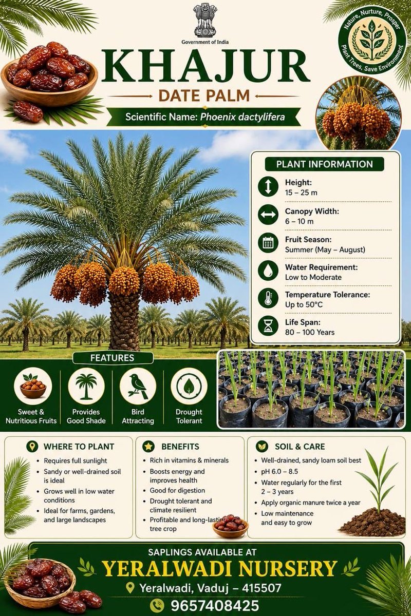 pankaj_ifs's tweet photo. @MahaForest @CMOMaharashtra @NaikSpeaks @Info_Satara 
@moefcc 

 Saplings available at Social Forestry Nursery @ Satara https://t.co/F9XzBBYQtD