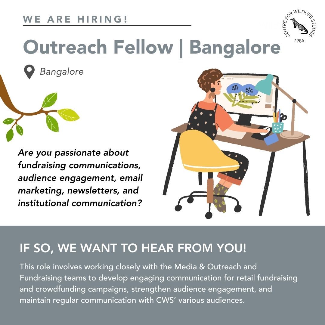 cwsindia's tweet photo. We’re hiring an Outreach Fellow to join CWS. If you’re early in your career and interested in fundraising, email marketing, audience engagement, and using technology and AI for outreach, apply at https://t.co/o2azxYQKAo
#Job #Career #Opportunity #Hiring https://t.co/SdFiqwRvs5