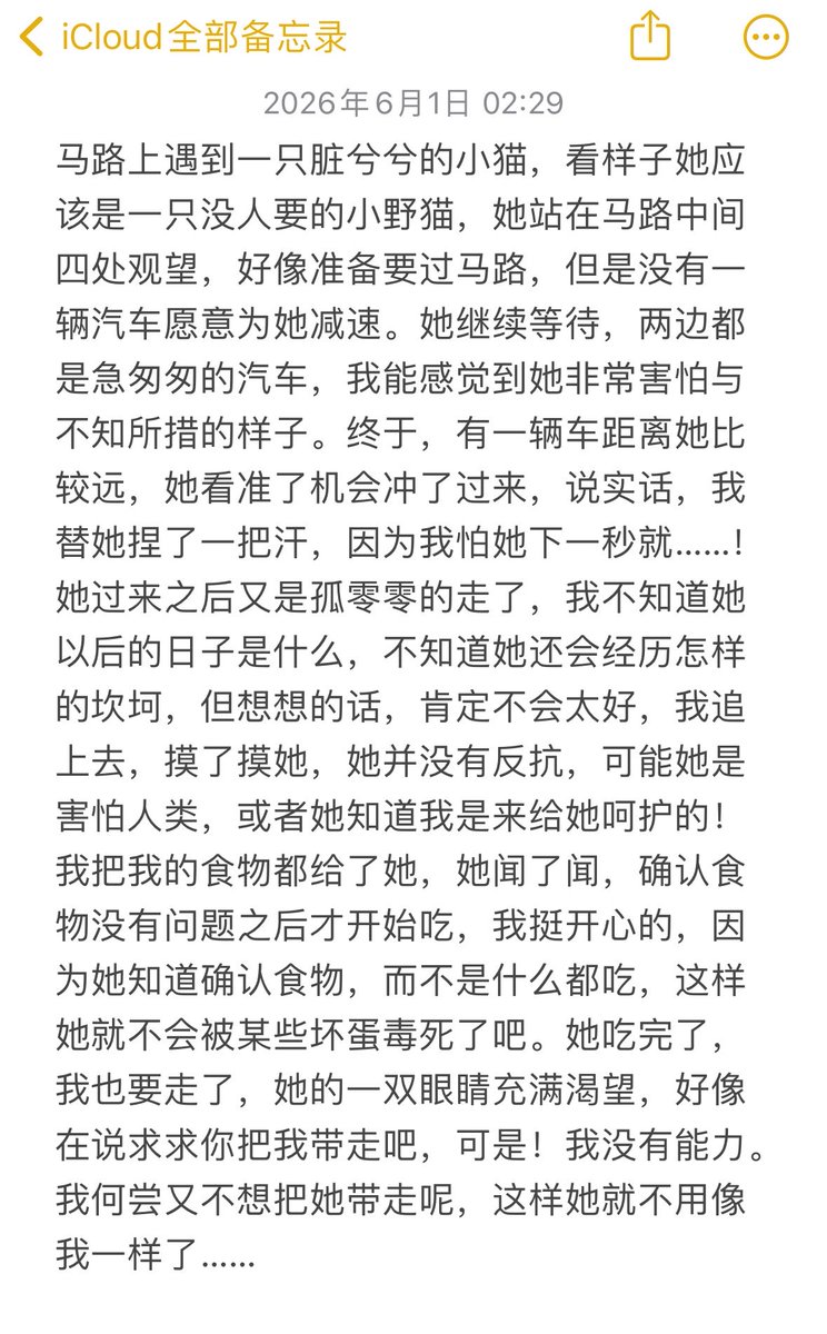 Li_Cat_c's tweet photo. ✉️ https://t.co/QgQp5RgrJa