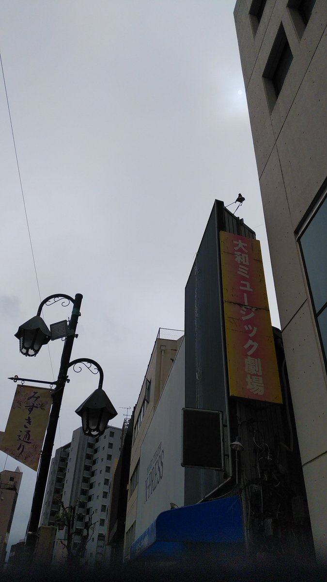 haracchi2018's tweet photo. 昨日は以前あわらで頂いた招待券で人生2回目(多分)の大和　
ポールは無くなってたけど全体的に綺麗になってて冷房も程良く効いていて快適でした
初見の寿さん花森さんのステージ✨✨
2回目終わりまででしたが某御二人様から🍞を頂けて凄く有意義な土日でした🙇‍♀ https://t.co/GEq6zMWLFY