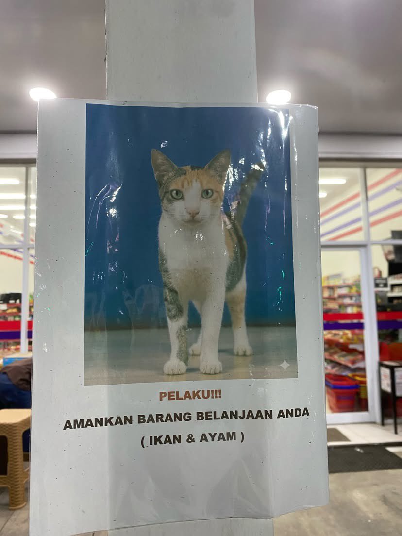 recehtapisayng's tweet photo. mana santuy bangettt lagi 😭😭😭 https://t.co/2TtcOnpC9L