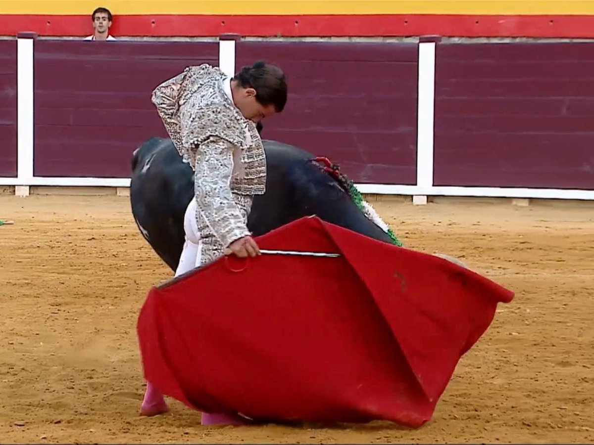 mario_sanchzz's tweet photo. Hace dos años un matador de toros me llamó por la mañana y me dijo: "paso a  recogerte y nos vamos a La Puebla, quiero que veas a un novillero, te va a encantar". 

Era Manuel Luque "El Exquisito".

El sábado dió un recital de toreo en Villacarrillo.

Hay que seguirlo! https://t.co/4X77q75g3i