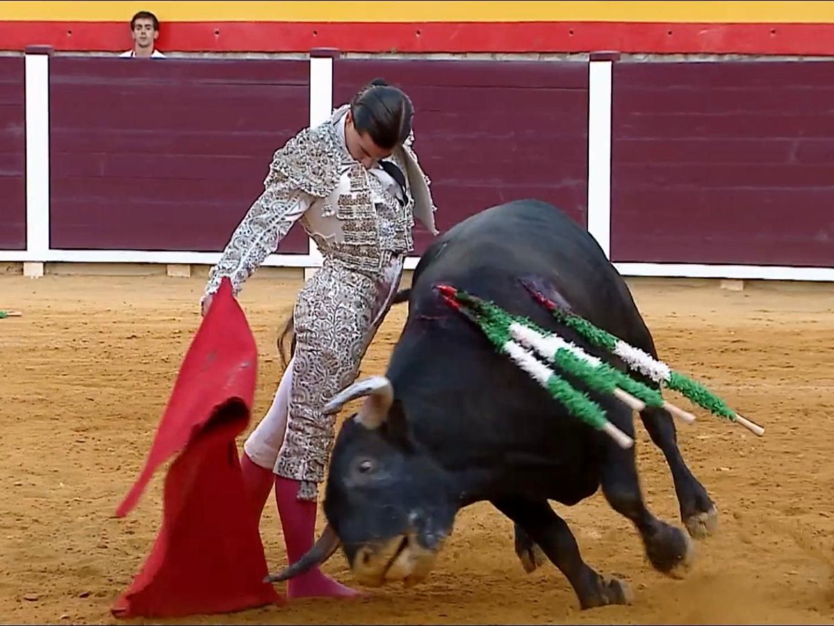 mario_sanchzz's tweet photo. Hace dos años un matador de toros me llamó por la mañana y me dijo: "paso a  recogerte y nos vamos a La Puebla, quiero que veas a un novillero, te va a encantar". 

Era Manuel Luque "El Exquisito".

El sábado dió un recital de toreo en Villacarrillo.

Hay que seguirlo! https://t.co/4X77q75g3i