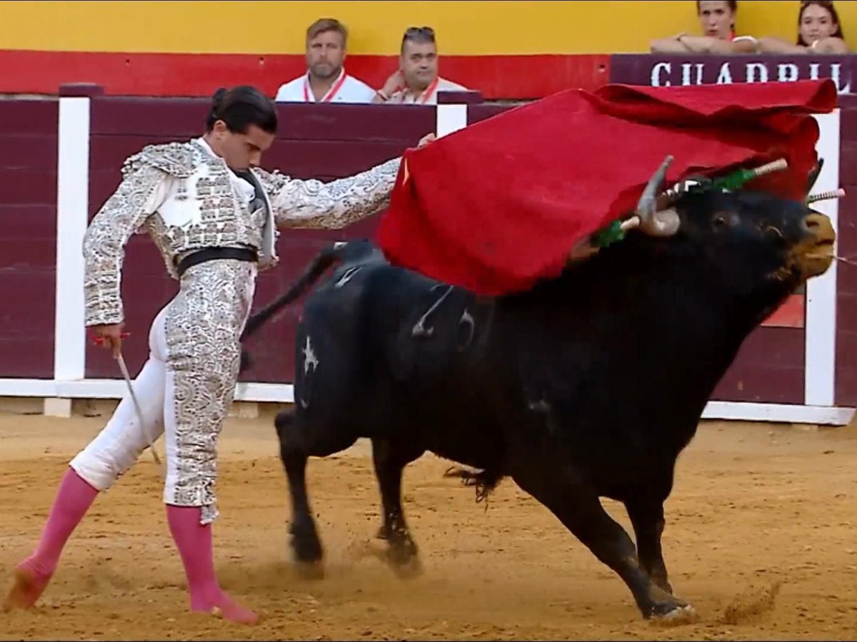 mario_sanchzz's tweet photo. Hace dos años un matador de toros me llamó por la mañana y me dijo: "paso a  recogerte y nos vamos a La Puebla, quiero que veas a un novillero, te va a encantar". 

Era Manuel Luque "El Exquisito".

El sábado dió un recital de toreo en Villacarrillo.

Hay que seguirlo! https://t.co/4X77q75g3i