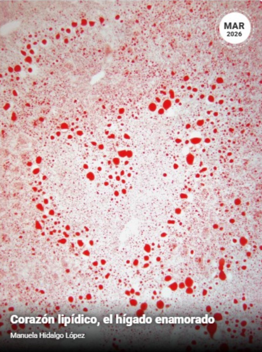 MitoxiLabIIBm's tweet photo. 🔬 Nuestra compañera Manuela Hidalgo ha ganado el Premio HAWK Biosystems a la Mejor Imagen Científica del Año 2026.
https://t.co/WH3yuvk3D1 https://t.co/pf6Cw0GImM