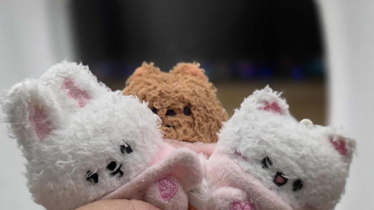 right_check_'s tweet photo. 꼬질이들과 힘내서 비행하기 https://t.co/L9gGqnPlRI