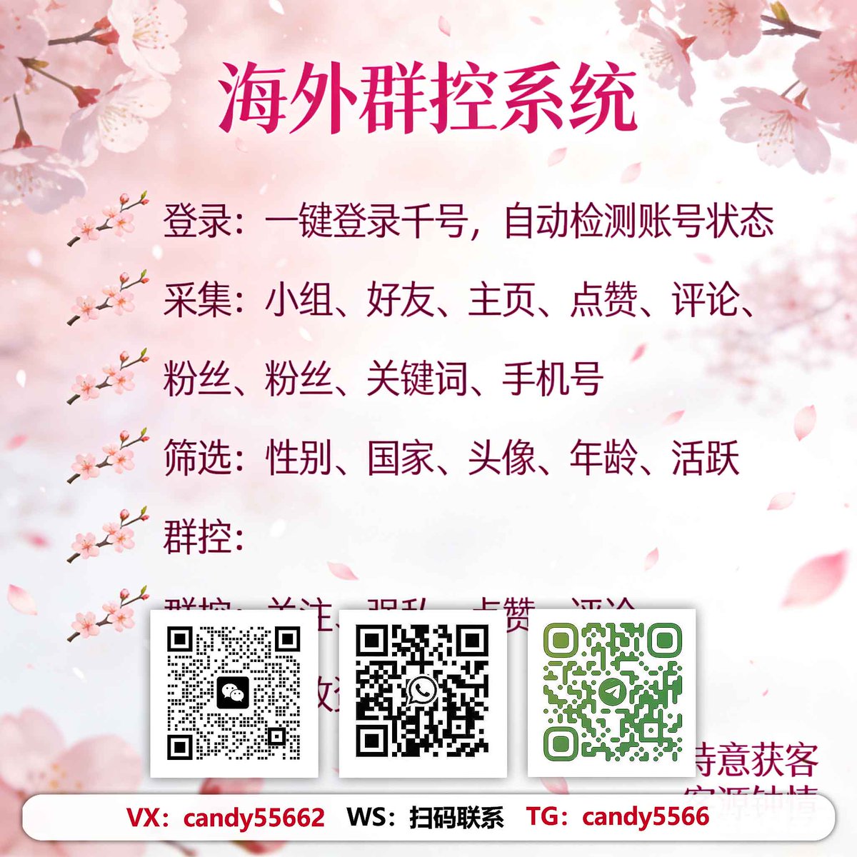 sadc0's tweet photo. 商家轻松获海外流量，免费测试等你来
私信群发支持多账号切换，群发更灵活 ，关注评论支持多关键词，覆盖更多用户，双向回复支持话术模板，回复更专业 。
#tiktok私域转化 #Twitter自动发帖 #Facebook营销 https://t.co/lCDShz3YC5