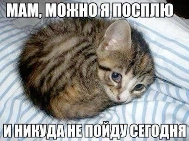 dmlxzz's tweet photo. что будет видеть моя мама каждый день https://t.co/9Dp83N6HID