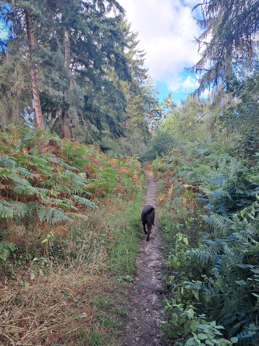Ted_Choc_Lab's tweet photo. https://t.co/PfxpOKPPs3