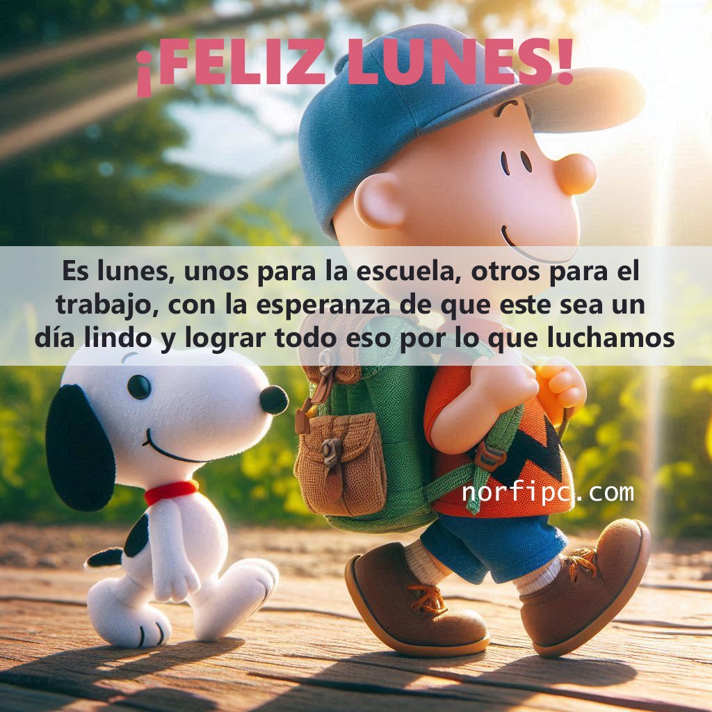 FrasesNorfiPC's tweet photo. ¡Buenos días!
Es lunes, unos para la escuela, otros para el trabajo, todos motivados con la esperanza de que este sea un día lindo, de alegrías y lograr todo eso por lo que luchamos.
¡Feliz lunes!
#buenosdias
#lunes https://t.co/t5d0F3ANw1