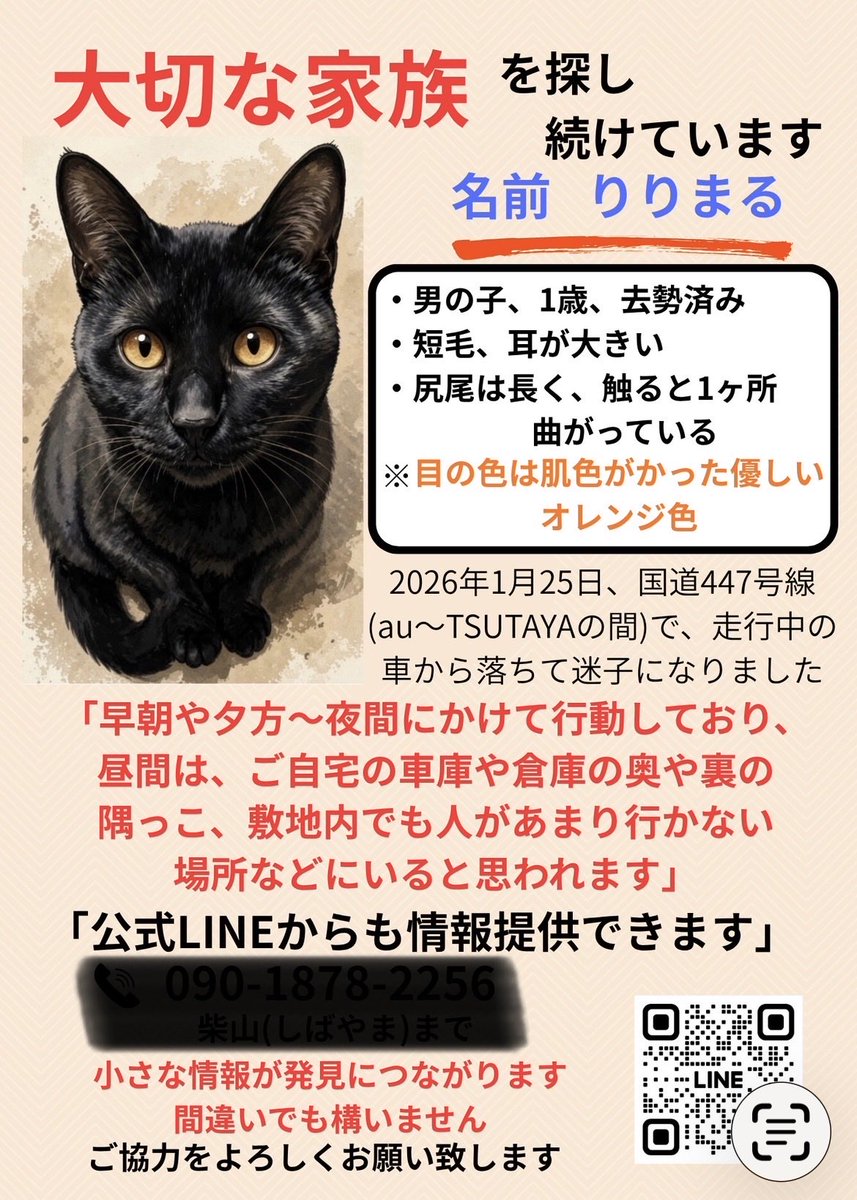 ririmaru_mama's tweet photo. #迷い猫 #黒猫 #鹿児島県出水市緑町付近 いつもRPありがとうございます。目に特徴がある1歳のオス猫（去勢済み）を探しています。早朝や夕方〜夜間にかけて目撃された方がいらっしゃいましたら、小さな情報でも、間違いでも構いませんのでDM又はLINEにて連絡をお願い致します。 https://t.co/QR7lRK18Bv