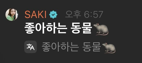 1y1ei's tweet photo. 사키 가장 좋아하는 동물 친칠라!! https://t.co/sEL9CmnTen