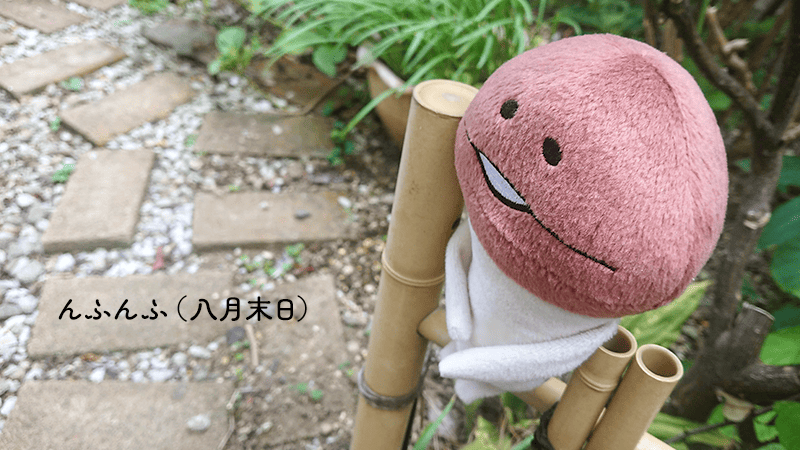 nameko_nnf's tweet photo. んふ〜（ぼへ〜） https://t.co/bl8Pza5Zwx
