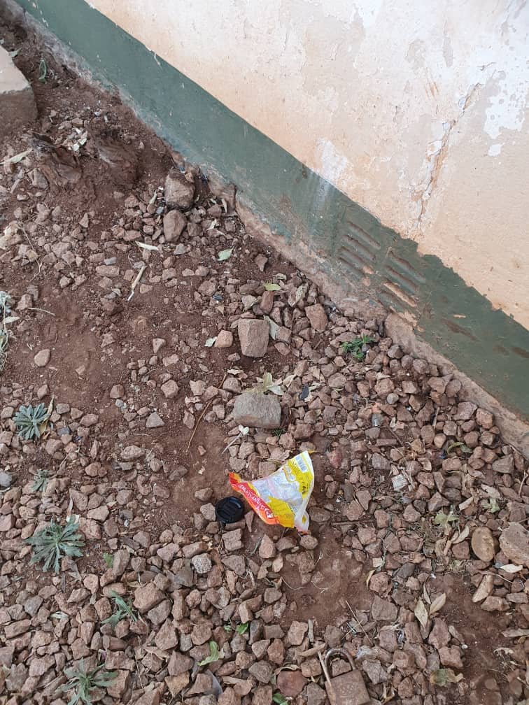 The_Tonga_Queen's tweet photo. Today thieves broke into our offices in Bulawayo they stole the following
- Canon R5 , lenses, lighting, mics and tripod
- 2 laptops (Dell Pro & Asus Core i7)
- Broke the safe and stole Cash 
- Skeen Fotofinder
- Damade doors and windows
- Vandalised medical consumables, desks  and stationery
- Projector
- External hard drives 
We are down, we have come so far to build our organisation serving communities. This is going to negatively impact our work. 😭😭😭😭. We will have to halt operations until we get back up on our feet. 5 years of investiment down the drain.