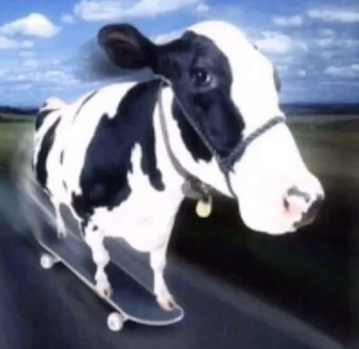 BabySinclairSol's tweet photo. WOW HOW HAS NO ONE SEEN THIS BEFORE!!

I WAS LOOKING IN THE PF GITHUB AND I FOUND A PNG CALLED SCOW

I CLICKED ON IT AND ITS A PHOTO OF A COW ON A SKATEBOARD 

THIS COULD BE HUGH https://t.co/Vqb7INvrqP
