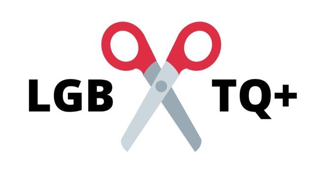 Connorvcoco_31's tweet photo. Every about the TQ+ has reversed tje rights of people like me, I usually refrain from reposting political tweets but I had to share this nicked from @BeesanEnigma https://t.co/aNzpbsb4gQ