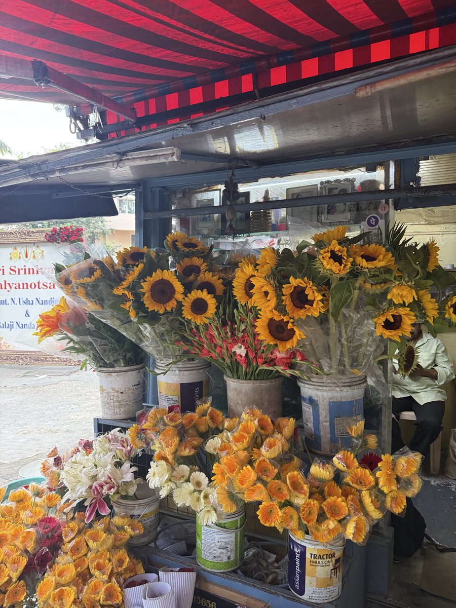 orchidtud's tweet photo. In the world full of thorns, be a flower https://t.co/nnVldfLN3r