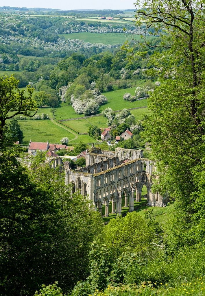 visitnorthyork's tweet photo. Rievaulx is everything I love about the countryside at this time of year.

Green, calm and utterly charming 🥰

Have you ever visited this beautiful village? https://t.co/E5KTaZkYtV