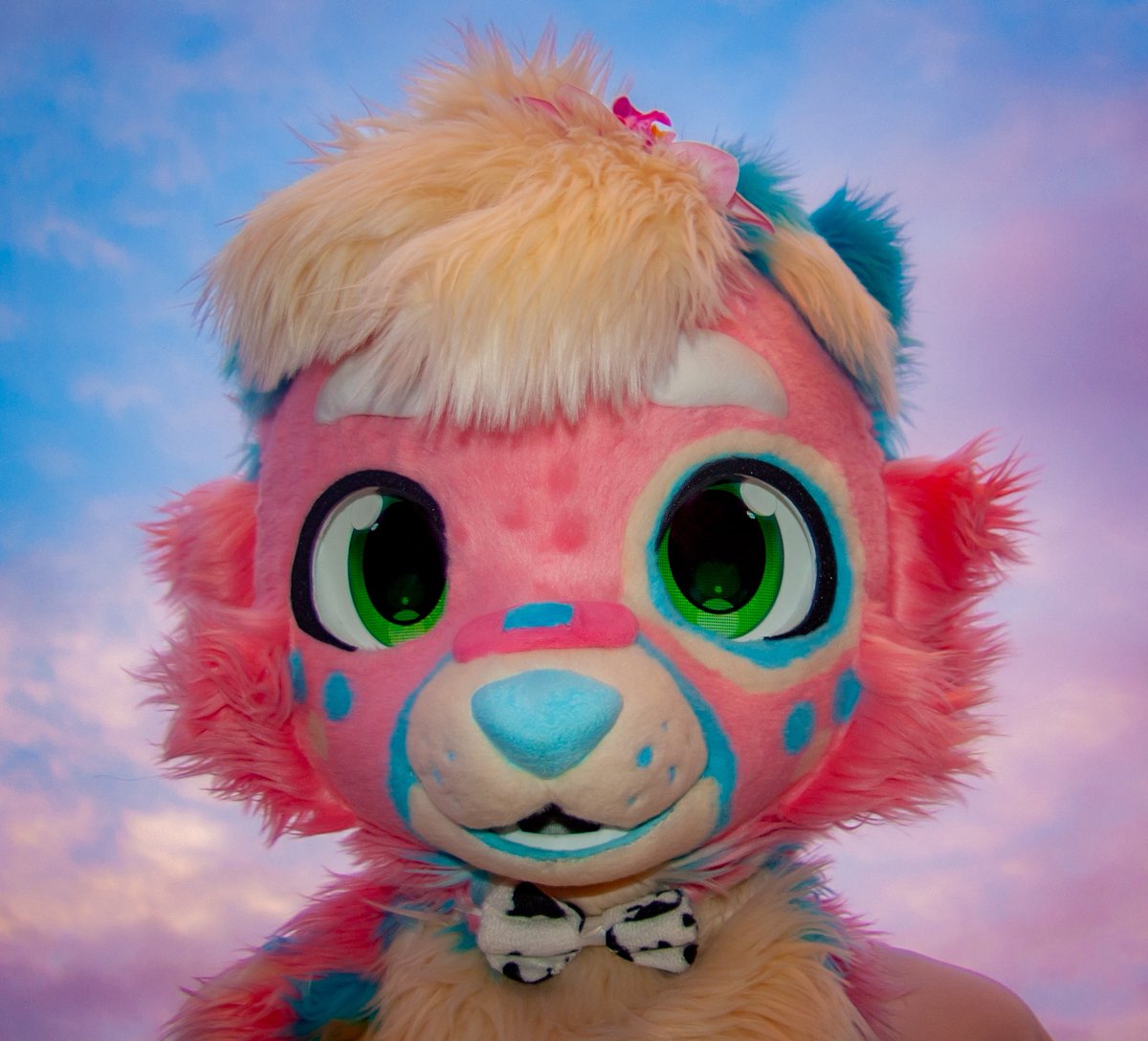 BloomyDoggo's tweet photo. 0 brain cells :3

#furry https://t.co/EQ9nYP7HhN