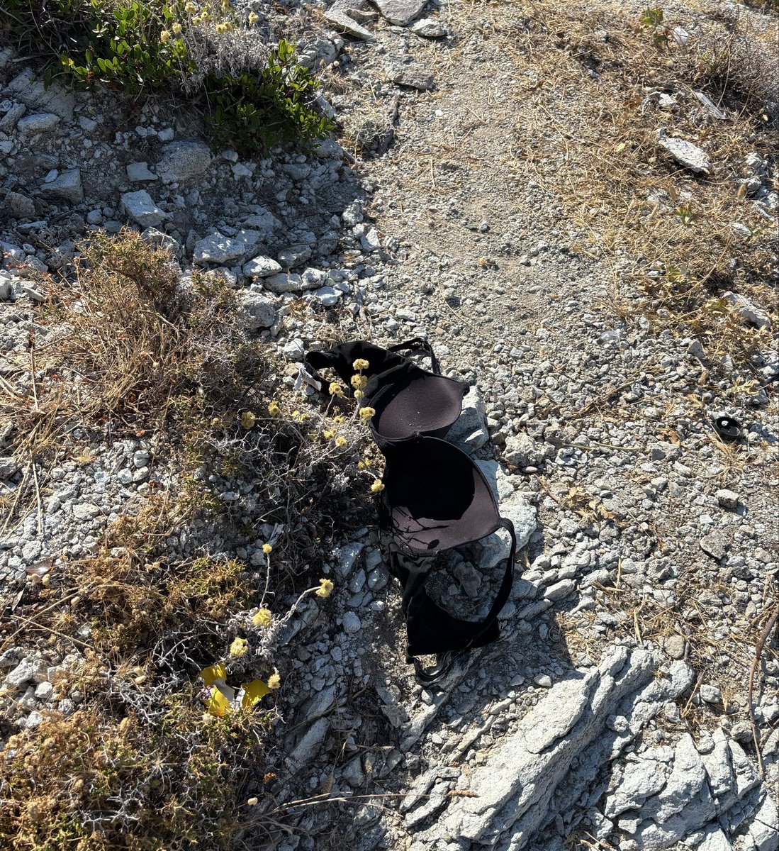 pelinnsavur's tweet photo. Sütyenimizi doğada unutturacak bi aşk yaşayamadık yazıklar olsun sjshjs
Şaka bi yana vatan hainisiniz, pisliksiniz. https://t.co/XlMoWFh6JD