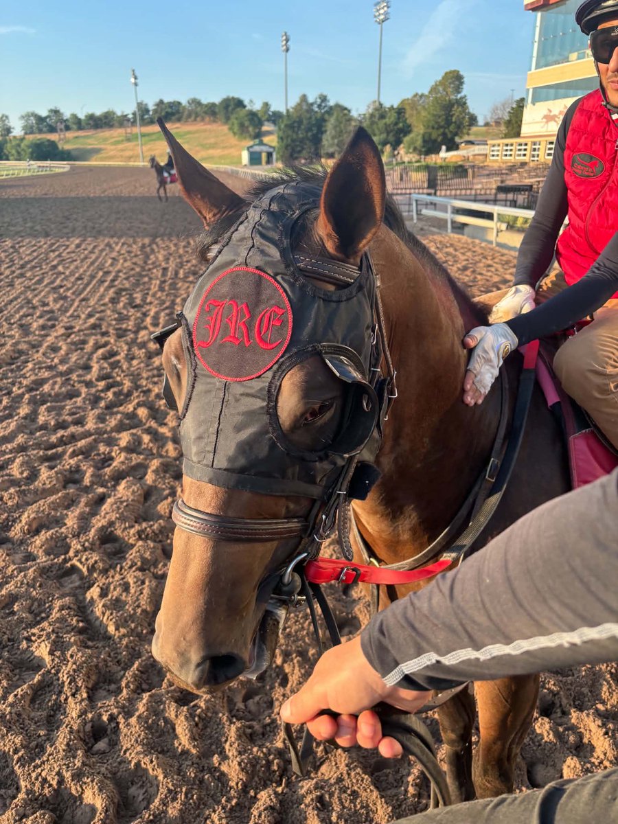 TeamEvansRacing's tweet photo. APOLLO CREED 🐴 has a #motivational quote for your Monday as a new week begins. #mondaymotivation #horseracing  

📸- Picture Credit of Apollo Creed - Taylor H. https://t.co/WUTozdBOag