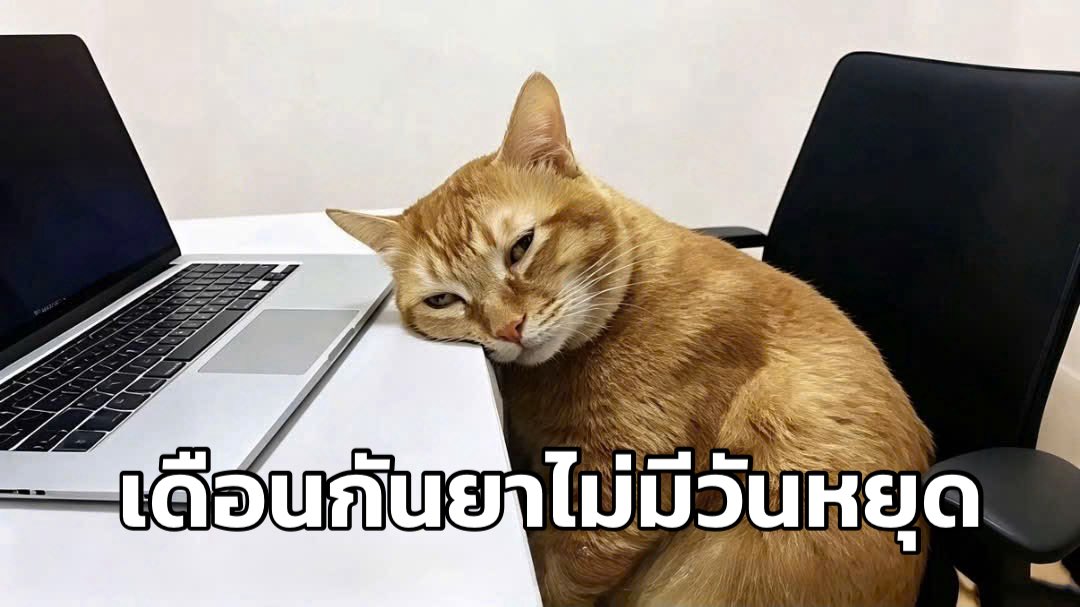 23jpeg's tweet photo. ยมไปอีก 30 วัน https://t.co/T6qEweVQNg