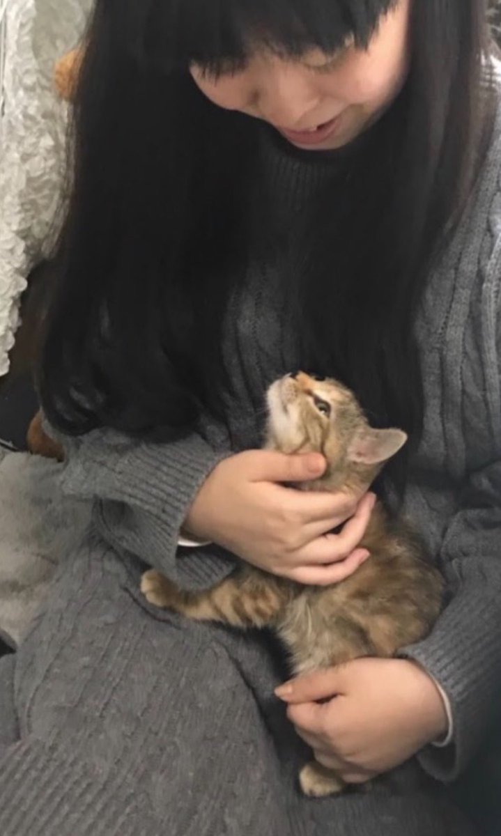 tsuyako_o's tweet photo. ←2019年　2026年→

私も大きくなったけどちぇきらも大きくなりました🐱　7歳おめでとう🎈 https://t.co/QFGRLJ3psR