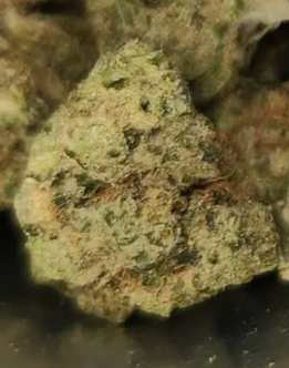 sweetleafHQ's tweet photo. Dawgwalk OG by flower foundry https://t.co/gEudkNyrVW