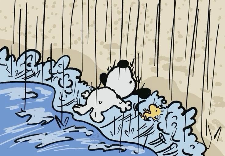 Ban_Anaah's tweet photo. Mdss que chuvarada, vontade de hibernar hoje, e acordar pra comer frutinhas silvestres em uma cabana tranquila na floresta https://t.co/PBRVucefk0