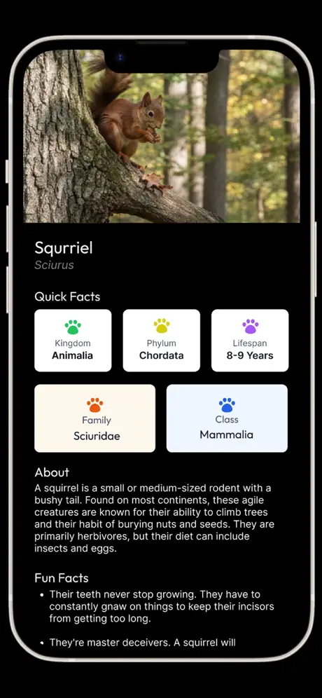 appswarm's tweet photo. Anipet Version 1.6 Released

Turn every photo into a learning adventure. With AniPet, you can take a photo or upload a picture of any animal, pet, bird, or other wildlife, and instantly identify the species.

https://t.co/y4ewOZF0i8 https://t.co/TZKU0wyzPP
