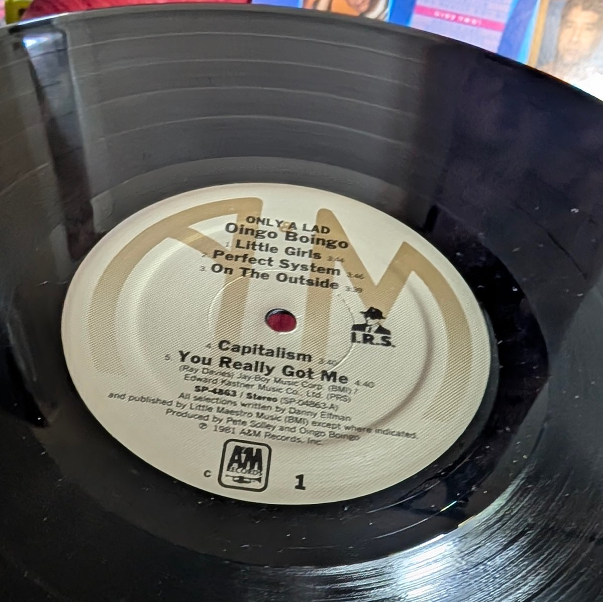 PSquidRecords's tweet photo. Embrace the 80s chaos. ⚡️ Danny Elfman &amp; Oingo Boingo’s debut 'Only a Lad' is pure frenetic New Wave perfection. Drop the needle and let it rip.

Grab this copy now at https://t.co/Y3DRkeR7D4 💥

#VinylisHere #VinylRecords #VinylAddict #VinylCommunity #RecordDigging #VinylRecord https://t.co/z5YD4segRz