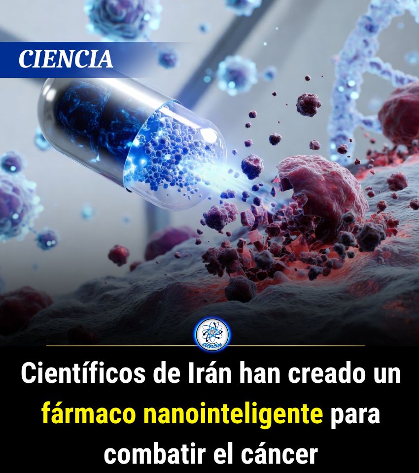 EnsedeCiencia's tweet photo. https://t.co/GUPaiTadwl