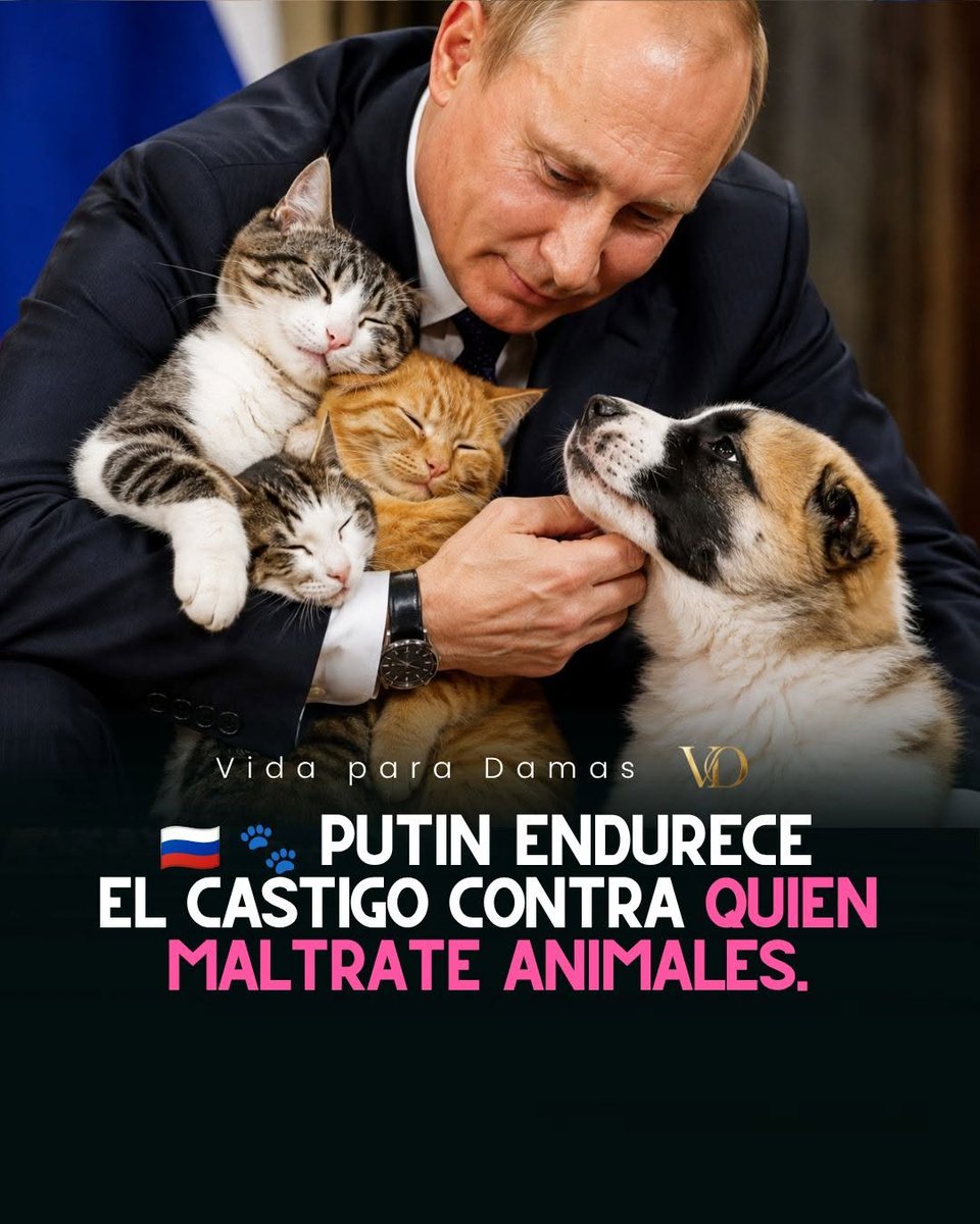 TheViditsharma's tweet photo. Russia sends a powerful message against animal cruelty.

Severe animal cruelty can lead to imprisonment of up to 5 years with harsher penalties when the abuse causes serious injury or death, takes place in front of children, or is recorded and shared online.

Animals are voiceless and vulnerable. They deserve protection, dignity and justice not violence and suffering.

Cruelty to animals must never be normalized. It must have consequences. 

The world needs stronger laws and stronger enforcement to protect those who cannot protect themselves.

#dogs
#AnimalWelfare