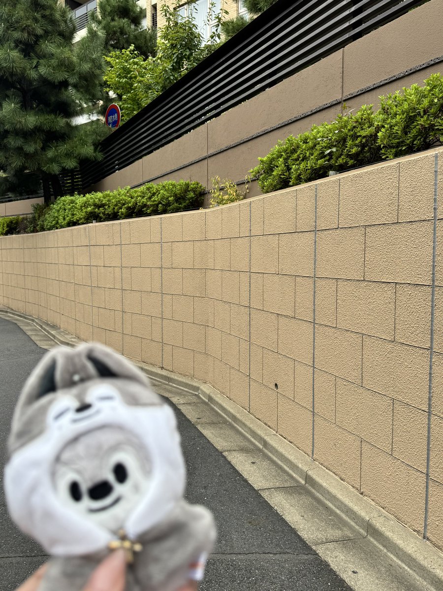 cocorie_8333's tweet photo. 聖地巡礼🐺🐿️🐖🐇

念願だったから嬉しかった🥹 https://t.co/IAuYYo8cYI