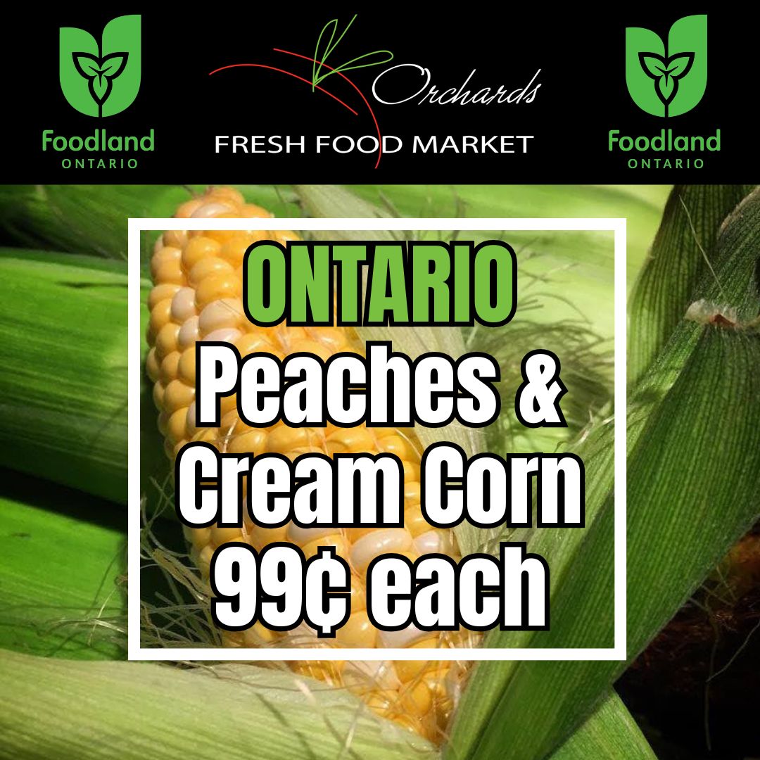 OrchardsFF's tweet photo. Produce Features! Until Thursday September 3rd, 2026 or While Supplies Last!
Watermelon Slices 99¢/lb
2lb Bag Carrots 99¢ each
Ontario Peaches & Cream Corn 99¢ each
2lb Bag Onions 99¢ each
#producemarket #Features #corn #watermelon #onlyatorchards #wherefreshcomesfrom https://t.co/f5QMZ9pFuK