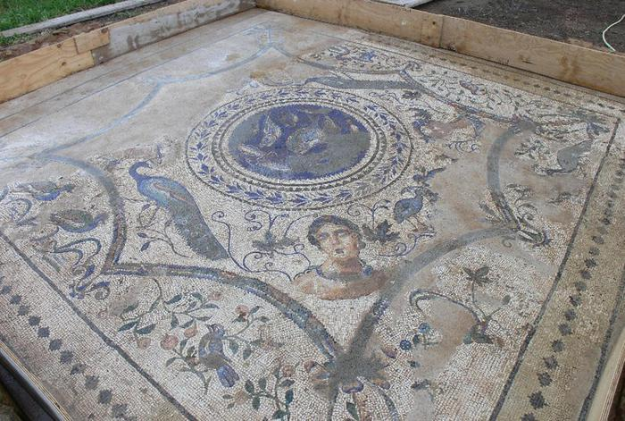 ArteCalabria's tweet photo. Mosaico romano delle quattro stagioni II-III sec. d.C. a Vibo Valentia, relativo ad un atrio del complesso termale decorato con pesci, pavoni, inquadrati in un festone che si dispone ad ottagono intorno alle figure.
#Calabria #art https://t.co/RrDtiscY5P