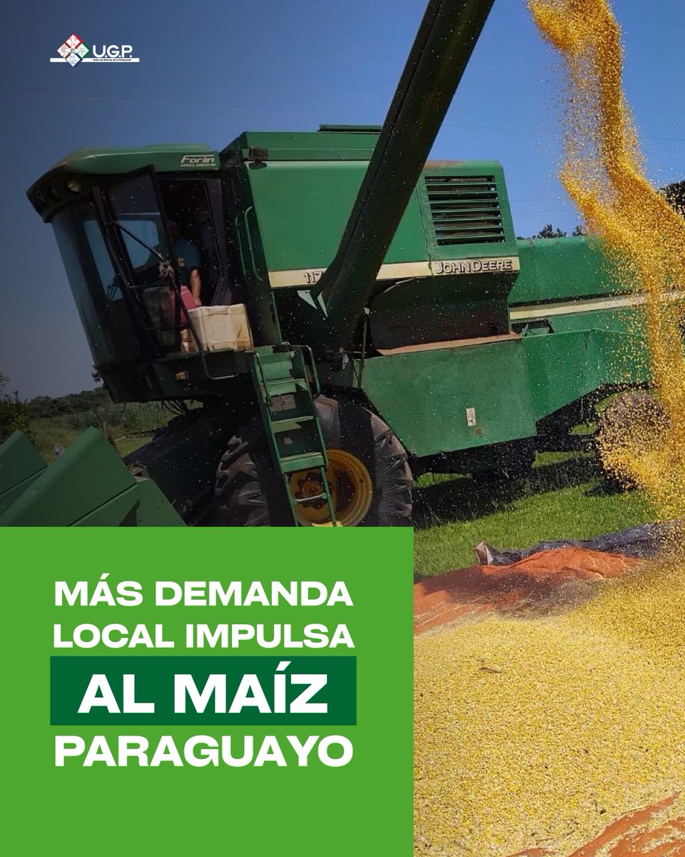 UGP_Py's tweet photo. El consumo interno de maíz sigue creciendo en Paraguay. 

El maíz gana protagonismo como materia prima que genera valor agregado y empleo. La campaña maicera podría representar ingresos cercanos a los USD 1.000 millones.

Fuente: Capeco https://t.co/RMLJzVBGJQ