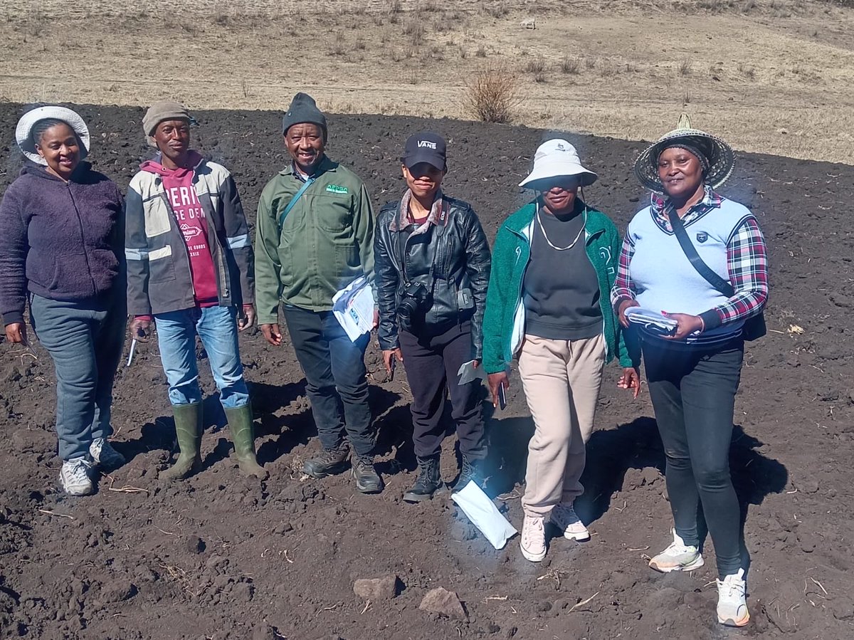 NemAfrica's tweet photo. NemAfrica joined PCN surveillance activities in Lesotho under the @FAO ‘s #STDF Project, with sampling conducted in Mokhotlong, Butha-Buthe and Leribe. The team also supported sample extraction and analysis at DAR in Maseru.
#PCN #Lesotho @FAOKenya @IITA_CGIAR @icipe https://t.co/y2ixx1HIci