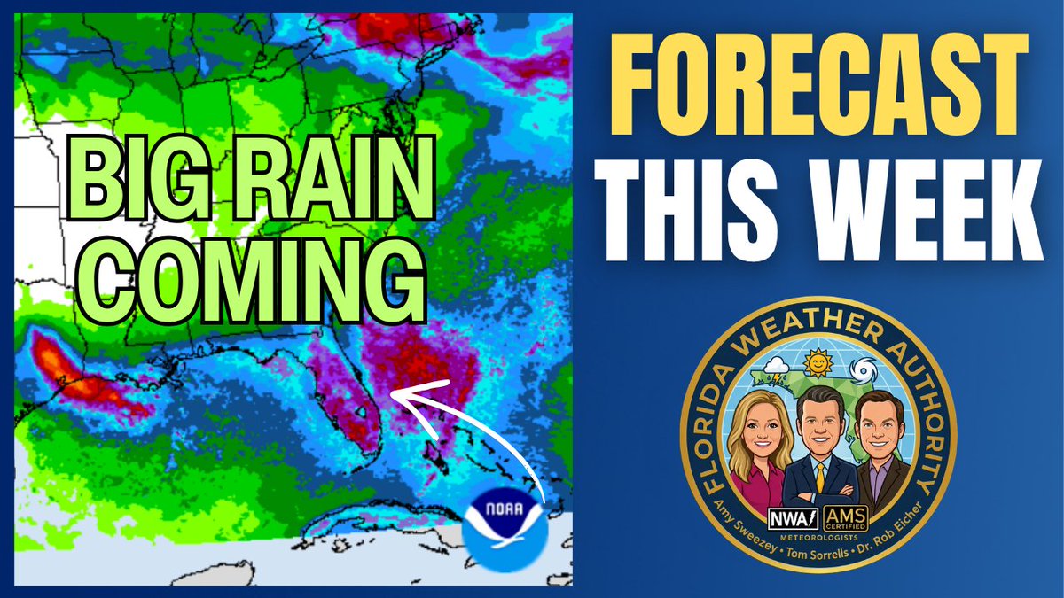 FLWxAuthority's tweet photo. What's left of #Dolly is headed toward Florida and will increase our rain chances this week. Meteorologist @amysweezey breaks down the timing and shares how much rain the Sunshine State will receive. https://t.co/XvZLF1SBrY https://t.co/gkPylGHzAw