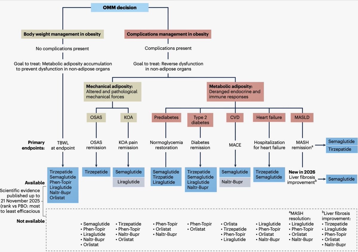 EASOobesity's tweet photo. Algorithm 2.0: EASO Pharmacological Framework for Obesity Management

✔️ Helps clinicians match pharmacological obesity management to an individual’s health needs, moving beyond weight loss alone to consider complications, mechanisms &amp; treatment goals.

https://t.co/289FP5r93D https://t.co/WNJiEbtDqm
