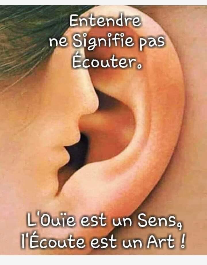 csibon27's tweet photo. 🥰😇
Belle soirée à tous ✨ https://t.co/lmvuNZZiZs