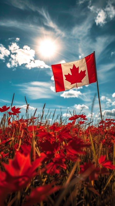 raghu_venugopal's tweet photo. Americans don't understand that if they try to take over another nation, the insurgency will always fight harder, fight dirty and do what the Americans won't. The insurgents have everything to lose and nothing to lose. Thank you for your attention to this matter, Canada https://t.co/UMqspHbesn
