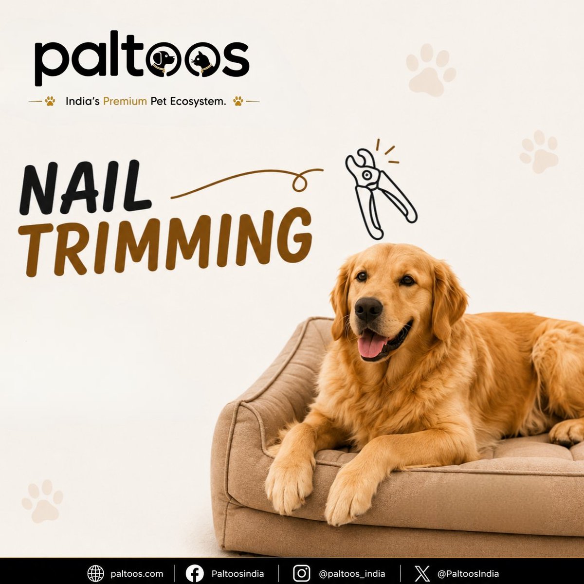 PaltoosIndia's tweet photo. Small grooming habit, big difference for your dog’s comfort. 🐾✂️

 Regular nail trimming helps prevent pain, supports better posture, and keeps those paws healthy🐶❤️

#DogCare #PetCare #DogGrooming #HealthyPaws #Paltoos https://t.co/DmSwgCs4jl
